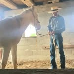 Ryan Cole Everett - @rcehorsemanship - Instagram
