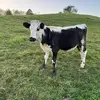 Fallon Cole - @fallon.cole - TikTok