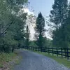 Cole Farley - @colef1767 - TikTok