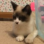 Cole Farley - Facebook