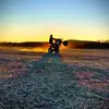 Cole Farris476 - @colefarris21 - TikTok