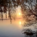 Nicole Faust - @nicole.faust.5815 - Instagram