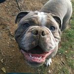 cole fields - @colefields7 - Instagram