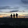 Cole Fields - @cole.fields8 - TikTok