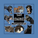 Cole Fields Menagerie - @cole.fields_menagerie - Instagram
