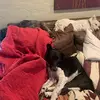 Cole Floyd - @cole.floyd - TikTok