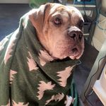 @_cole_foley - Instagram