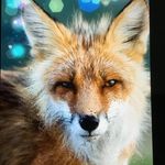 Cole Foreman - @foreman6547 - Instagram