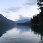 @_coleforrest - Instagram