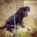 Cole Forte - Facebook