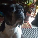 Cole fraley - @cole.f426 - Instagram