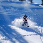 Cole Frey - @cole_frey - Instagram