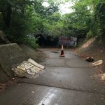Cole Fuller - @cole_fuller96 - Instagram
