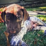 Cole Gilman - @cb_n_gunner - Instagram