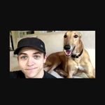 Cole Hayes - @cole.hayes.greyhound - Instagram