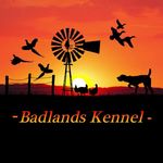 Cole Jensen - @badlands_kennel - Instagram