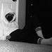 Cole Larson - Facebook