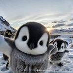 Cole Lawrence - Facebook