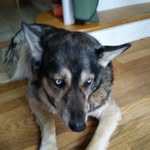 cole long - @cole_burrito - Instagram