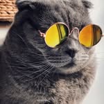 Cole Lytle - @c0lelytle - Instagram