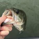 Cole Marsh - @cole_be_rippin_lips - Instagram