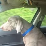 cole mathews - @kyswope69 - Instagram