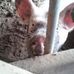 Cole Mayes - Facebook