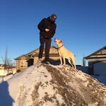 Cole Morrison - @cole_morrison96 - Instagram