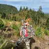 Cole Morrison - @colemorrison37 - TikTok