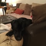 Cole Murray - @colemurray6388 - Instagram