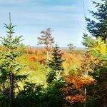 @_colenorris_ - Instagram