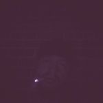 Cole Norris - @cole.norris.40 - Instagram
