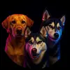 Pawflix - @colenorris52 - TikTok