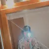 Cole olson - @715guy - TikTok