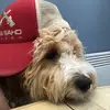 twirlix360 - @coleparks2004 - TikTok