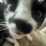 Cole Proctor - @monkeyproctor - Instagram