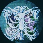 cole randall - @cole_randall2008 - Instagram