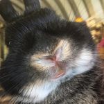 Cole Randall - @cole_that_snek - Instagram