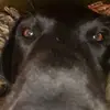 Cole Ratliff - @cole.ratliff - TikTok
