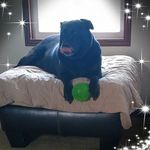 Cindy Cole Ritter - @cindycoleritter - Instagram