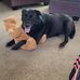 Cindy Cole Ritter - Facebook