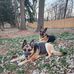 Cole Ritter - Facebook