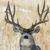 coleritter091 - @coleritter091 - TikTok