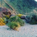 Tonia Cole Ritter - @toniaritter - Instagram