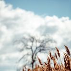 Cole Schmidt Photography - Facebook