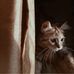 Cole Sprouse - Facebook