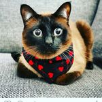 Cole Stanford - @cole_stanford31 - Instagram