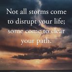 Cole Stein - Facebook