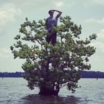 Cole Stewart - @cole__pat - Instagram