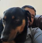 Cole Thatcher - Facebook